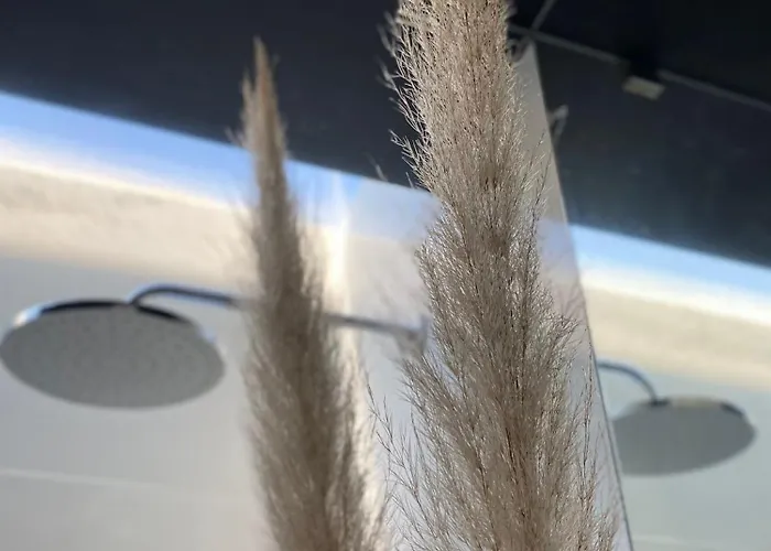 Tijosa Eco-house Camp Séjour à la campagne *