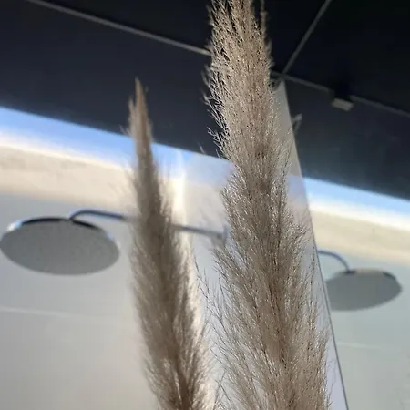 Tijosa Eco-house Camp בית כפרי *